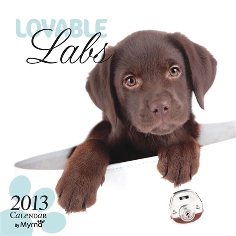 by myrna lovable labs 2015 square 12x12 multilingual edition Kindle Editon
